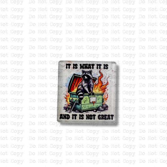 It's Not Great Racoon Lapel Pin