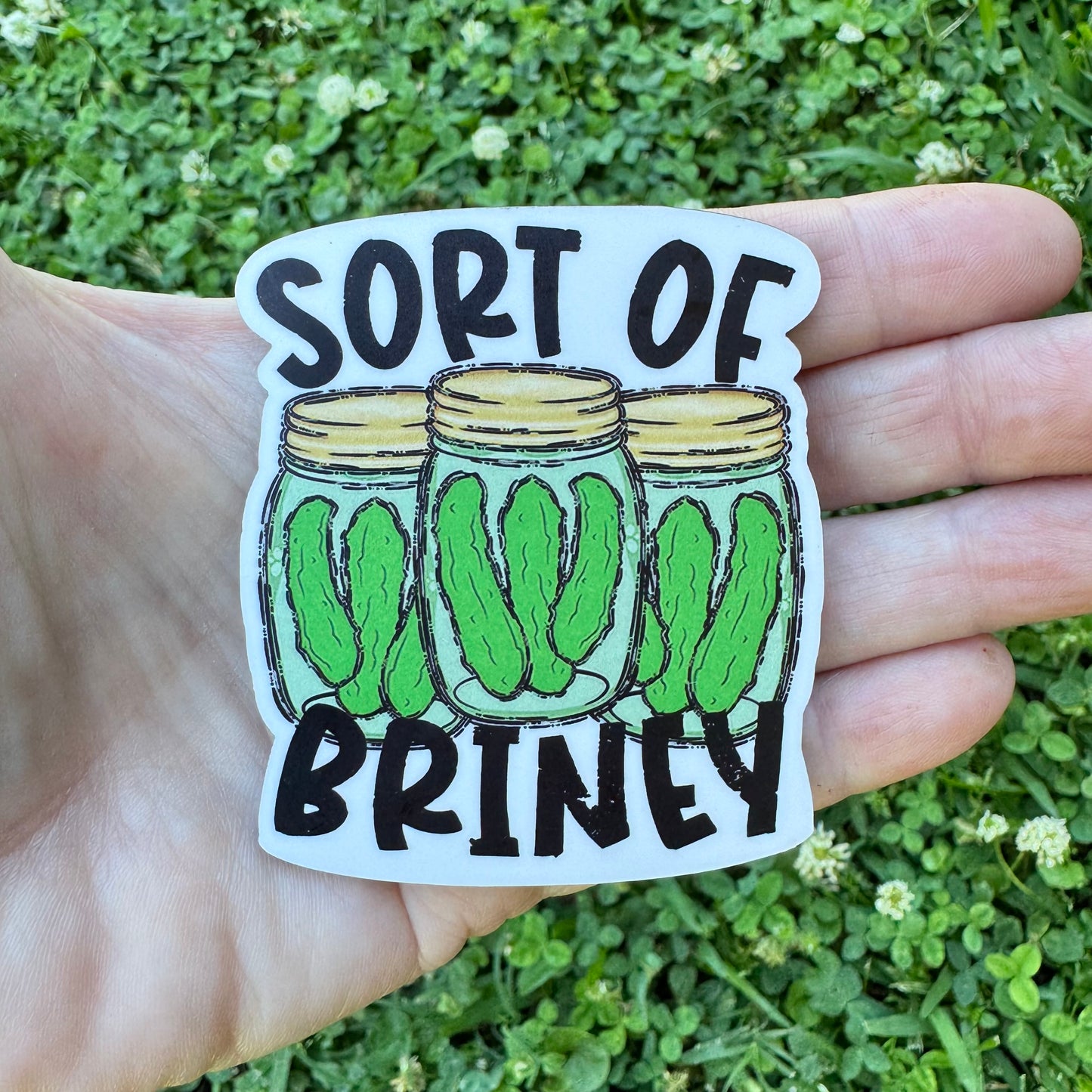 Sort Of Briney Pickle Magnet
