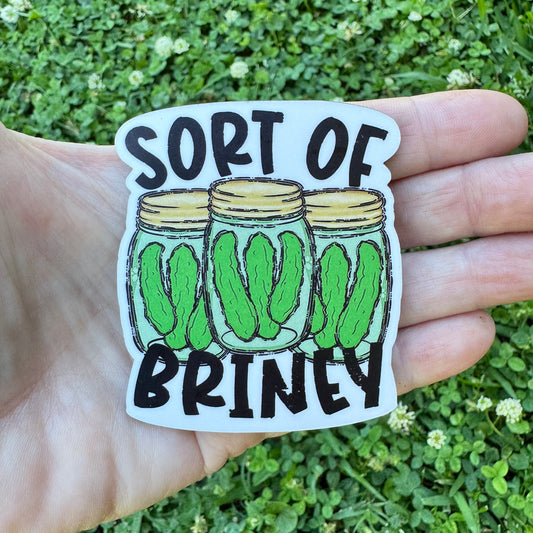 Sort Of Briney Pickle Magnet